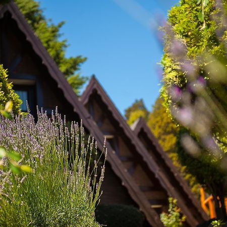 Cabanas Antilhue San Martín de los Andes Eksteriør billede