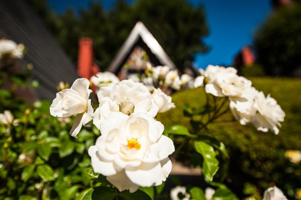 Cabanas Antilhue San Martín de los Andes Eksteriør billede